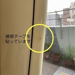 SCELL セル サーフィン サーフボード ファンボード 6'8 の画像