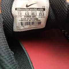 ナイキ　スニーカー　スポーツ　タンジュン　tanjun　25.5センチの画像