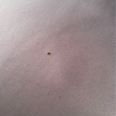 【商談成立】シングルベッドの画像