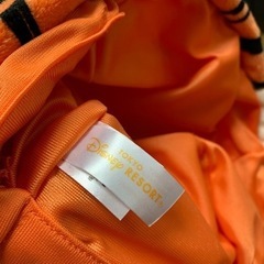 帽子(ティガー)の画像