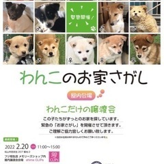 2/20(日)、2/23(水・祝)譲渡会『わんこのお家さがし』開...
