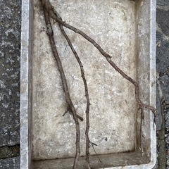 ガーデンシュレッダーの画像