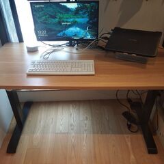 FlexiSpot 電動式スタンディングデスク