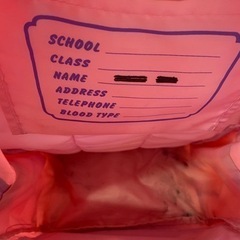 アナと雪の女王リュックの画像