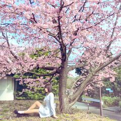 【業務拡大の為編集者募集！】動画編集スタッフ募集の画像