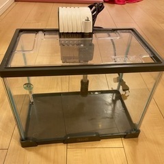 テトラ水槽 フィルター ヒーター付き