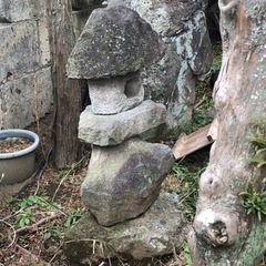 灯籠　再値下げ