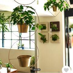 観葉植物ハンギングポット　9個セット

