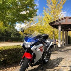 HONDA CBR250R 前期　2011年式　鶴ヶ島市より（美...