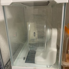 商談中 小動物 飼育セット