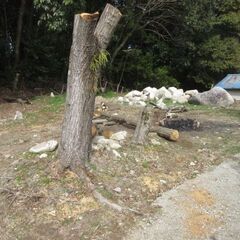 福岡切り株徹去、整地、庭石の移動、ユンボ格安、便利屋