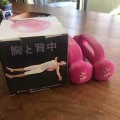 １キロダンベルとSOFT GYM BALL セット