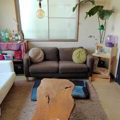 （シェアハウス）杉並区一軒家５部屋シェア インターナショナルな Tamahaus - シェアハウス