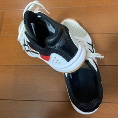 バレーボールシューズ　24センチの画像