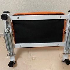 倒れるだけで腹筋運動 (来週末処分予定)の画像