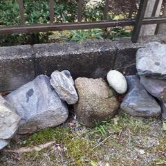小ぶり、花壇石もらってください！！の画像