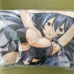 ＜値下げ＞エデンズゼロ　立体クッション