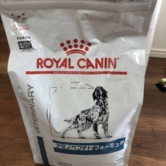 ロイヤルカナン