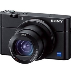 ソニー Cyber-shot DSC-RX100M5 SDカード...