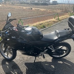 CBR250R MC41 前期 の画像