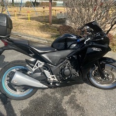 CBR250R MC41 前期 の画像