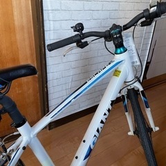 GIANT 24インチ