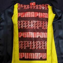 PUMAプーマウインドブレーカー130cmの画像