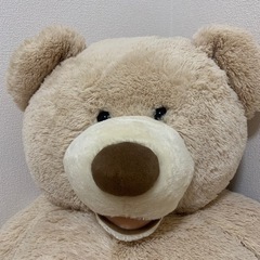 コストコ　クマ　テディベア　ぬいぐるみの画像