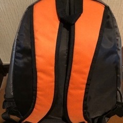 リュック、トレッキングや軽い登山、キャンプなどに⛰✨の画像