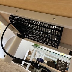 こたつ 無料でお譲りします！の画像