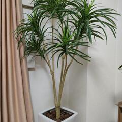 【終了】造花 大型 フェイク グリーン ユッカツリー×7本枝 1...