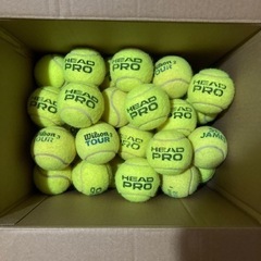 テニスボール　50球