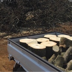 木の処分に困っている方譲ってください(^^)