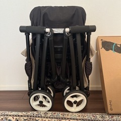 【a.m.s】サイベックス　リベル サイベックス リベル