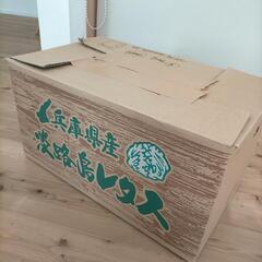 ✧20着セット　レディース服の画像