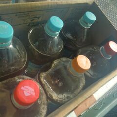 ２０２２年２月２１日 ゾウリムシ１リットル500円稚魚に金魚  メダカ稚魚にの画像