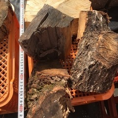 キャンプ薪の画像