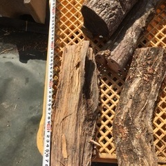 キャンプ薪の画像