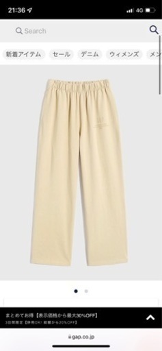GAP セットアップ