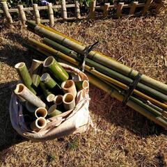 国産！青竹 切れ端 まとめ売り