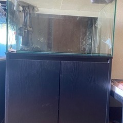 90(センチ水槽セット