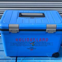 シンワ　HOLIDAY LAND　クーラーボックス　27L　