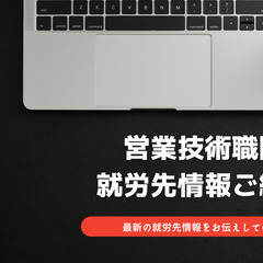 コンピューターのシステム営業兼技術サポート職
