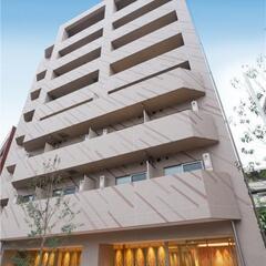 大久保駅徒歩6分/築浅高級分譲賃貸マンション/設備充実/ペット2...