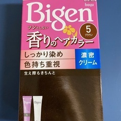 白髪染め（ブラウン）