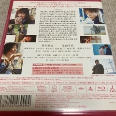 ハナミズキ('10映画「ハナミズキ」製作委員会)の画像