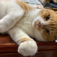優しい男の子です💛