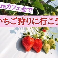 ☆laraカフェ会でいちご狩りに行こう❗️&ランチ会☆2月26日...
