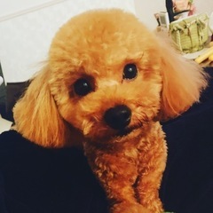 犬友募集🐶 - 練馬区