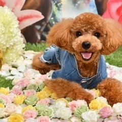 犬友募集🐶 - 友達